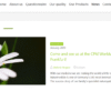 Dr. Sigmund - Wordpress Theme